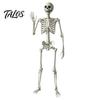 Life Size Halloween Skeleton 5.4FT Life-Size Human Prop for Halloween, Realistic Poseable Full Body Aged Texture Bone with Adjustable Joints, Haunted