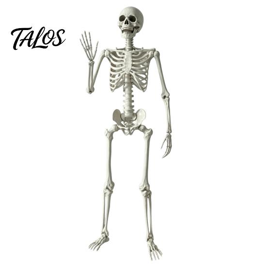 Life Size Halloween Skeleton 5.4FT Life-Size Human Prop for Halloween, Realistic Poseable Full Body Aged Texture Bone with Adjustable Joints, Haunted
