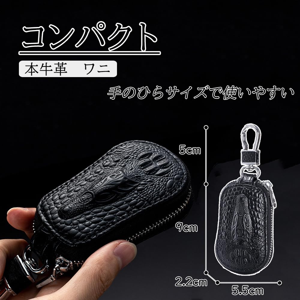 Jessimi Schlüsseletui, Smart Key Etui, Karabiner enthalten, Fenster, Kann bedient werden, während es eingesetzt ist