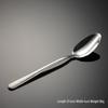 Qianxing 410 Crack Pattern Stainless Steel Dinner Spoons (10-Pack)