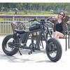 FT-02 20 Inch Electric Bike with Top Quality Bafang Motor