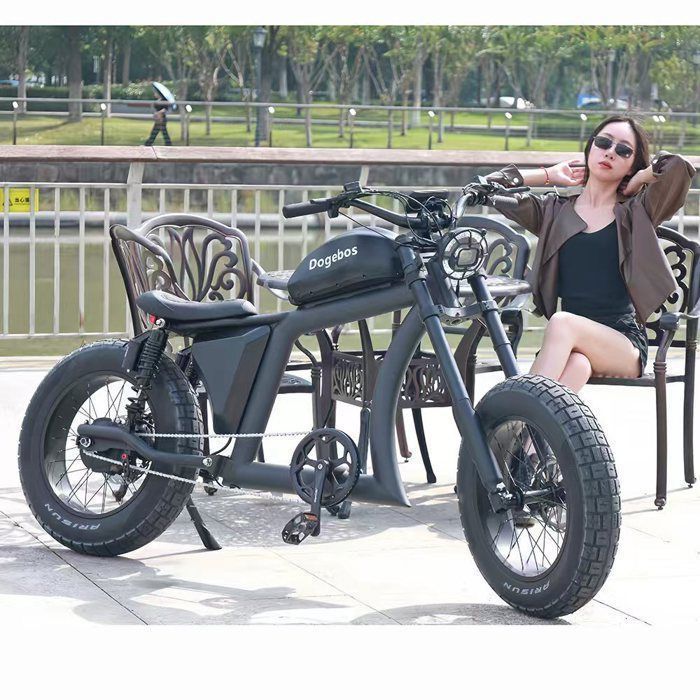 FT-02 20 Inch Electric Bike with Top Quality Bafang Motor