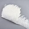10Meters/Lot White Colored Rooster Feather Trim Ribbon Tape Skirt Fringe Pheasant Feathers For Crafts Diy Jewelry Clothes Plumas