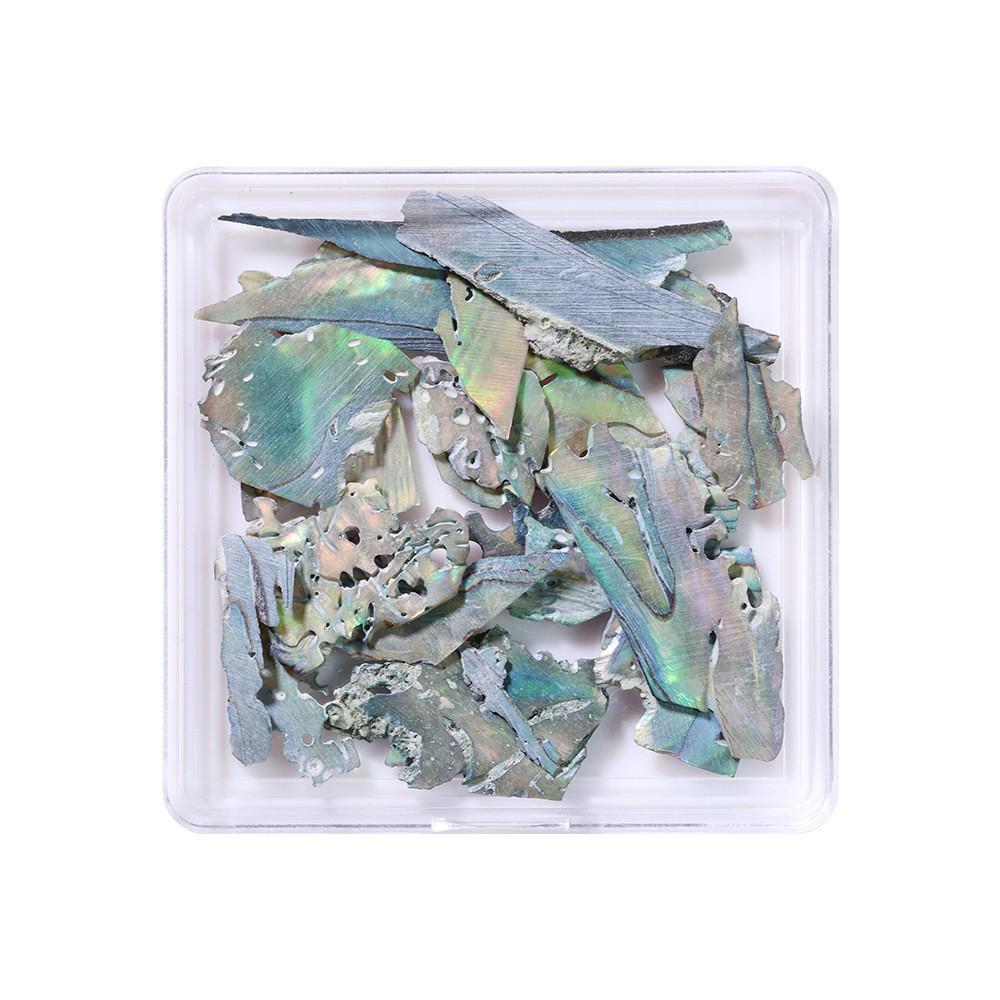 Iridescent Japanese Abalone Shell Nail Art Glitter Fragments