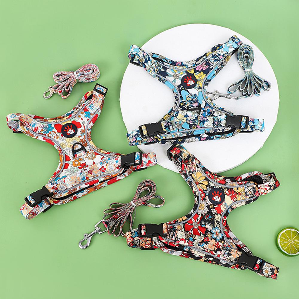 Módní tištěný postroj pro štěně a sada vodítka Reflexní prodyšné potřeby pro venčení domácích mazlíčků pro malé a střední psy