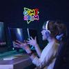 Game Room Neon Signs For Wall Decor USB Powered Colorful Neon LED Lights For Gaming Zone Party Bedroom Light Up Sign Gamer Gifts