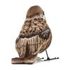 BH7019 HANSA Sparrow 10