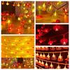 Battery Powered New Year String Light Fuzi Spring Festival String Light  Party