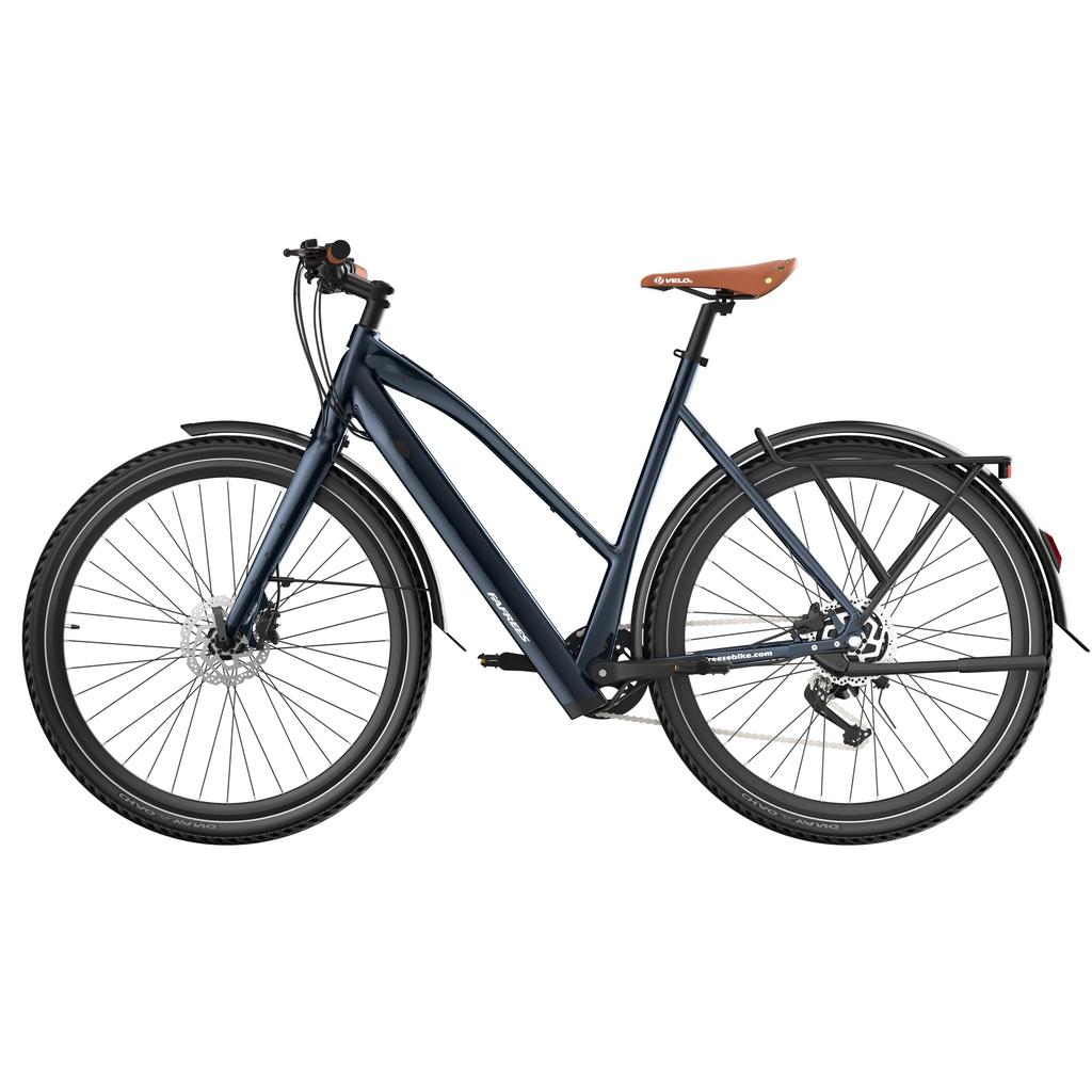 Fafrees F700W Elektrofahrrad, 250W Motor, 36V 10Ah Akku, 9-Gang