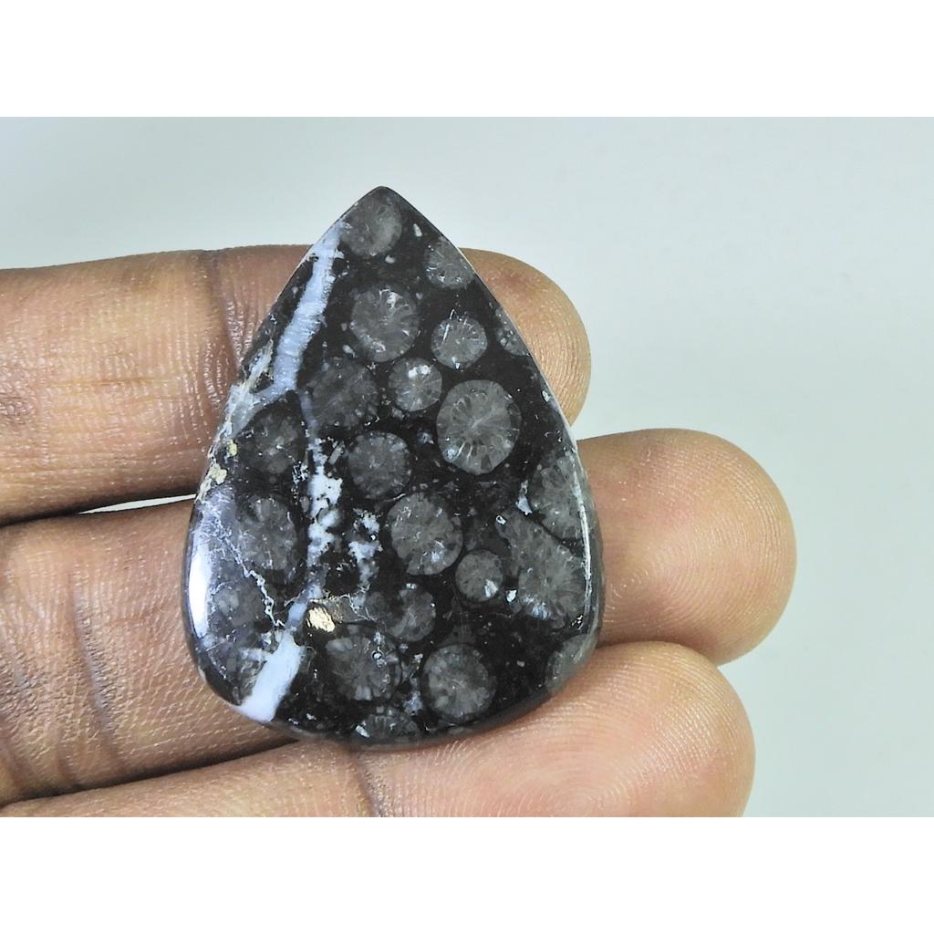 44Cts. Natural Black Fossil Coral Pear Cabochon Loose Gemstone 28X39X04 MM B-336