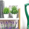 Artificial Plant Potted Lavender Potted Home Decoration Small Round Pot Fresh Green Life