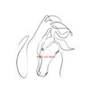 Horse Single Line Art Modern Minimalist Posters Prints Canvas Painting Animal Horse Wall Art Picture for Living Room Home Decor