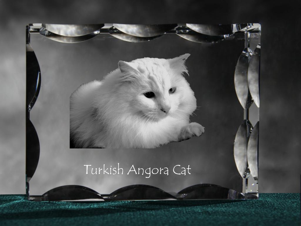 Turkish Angora – Crystal with a cat picture, glass statuette with a picture | Art-Dog