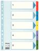 Esselte Mylar A4 Kartonnen Scheidingsblad Geïndexeerd 1-5 /5 Kaarten/ 100160