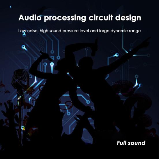 E300 Condenser Microphone Professional High Fidelity Portable Handheld Recording Microphone with Audio Cable for Live Streaming