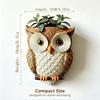 Resin Owl Hanging Wall Pot With Textured Finish and Back Hook Slot, Flower Holder for Small Plant, Balcony Wall, Entryway, and Indoor Display