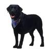Pet Reflective Bandana High Visibility Dog Scarf Colorful Safety Neckerchief for dogs cats Coleira Cachorro Mascotas Perro Cani