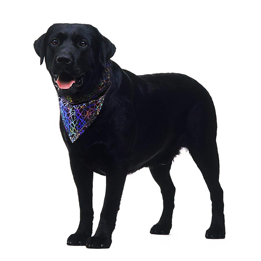 Pet Reflective Bandana High Visibility Dog Scarf Colorful Safety Neckerchief for dogs cats Coleira Cachorro Mascotas Perro Cani