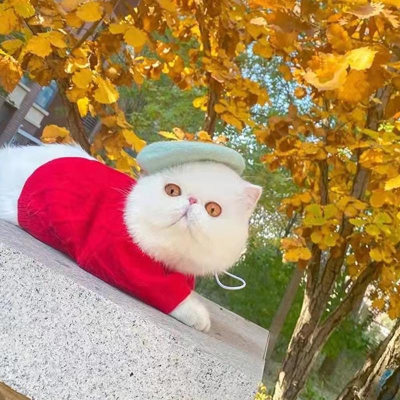1PC Dog Beret Wool Hat Colorful Pet Hat Decorative Memorial Pet Luxury Headwear