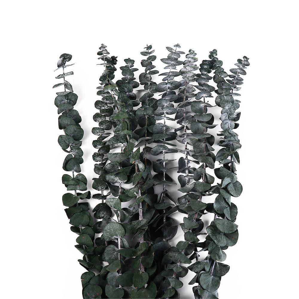 10 Pcs Real Leaves Hanging Dried Eucalyptus 22 Inch Large Artificial Plants Flowers Made From Fresh Eucalyptus Green