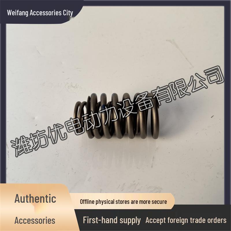 WP3.7 Valve Springs (Inner/Outer) for Diesel Engine WP4.1 4M10 Yangchai
