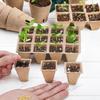Seedling Starter Trays Biodegradable Seed Germination Trays Plant Starter Peat Pots For Seedlings Germination Plant Starter