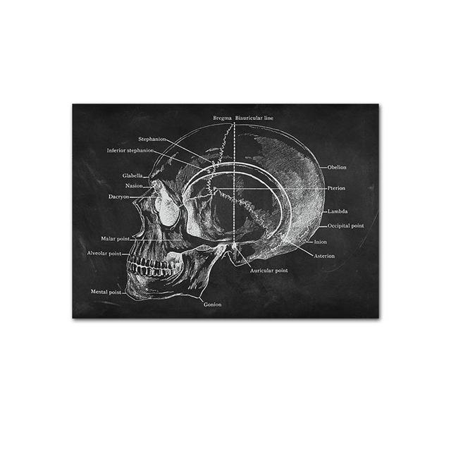 Human Musculoskeletal Heart Anatomy Skeleton Poster Canvas Painting and Printmaking Home Room Painting Decorative Art No Frame