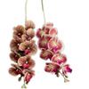 6pcs Artificial Orchid Flower 9 Heads Real Touch Good Quality Latex Large Phalaenopsis Moth Orchid Plant