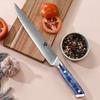 WILDMOK 9 Inch Damascus VG10 High Carbon Stainless Steel Meat Fruit Cutting Kitchen Slicing Knife with Resin Handle