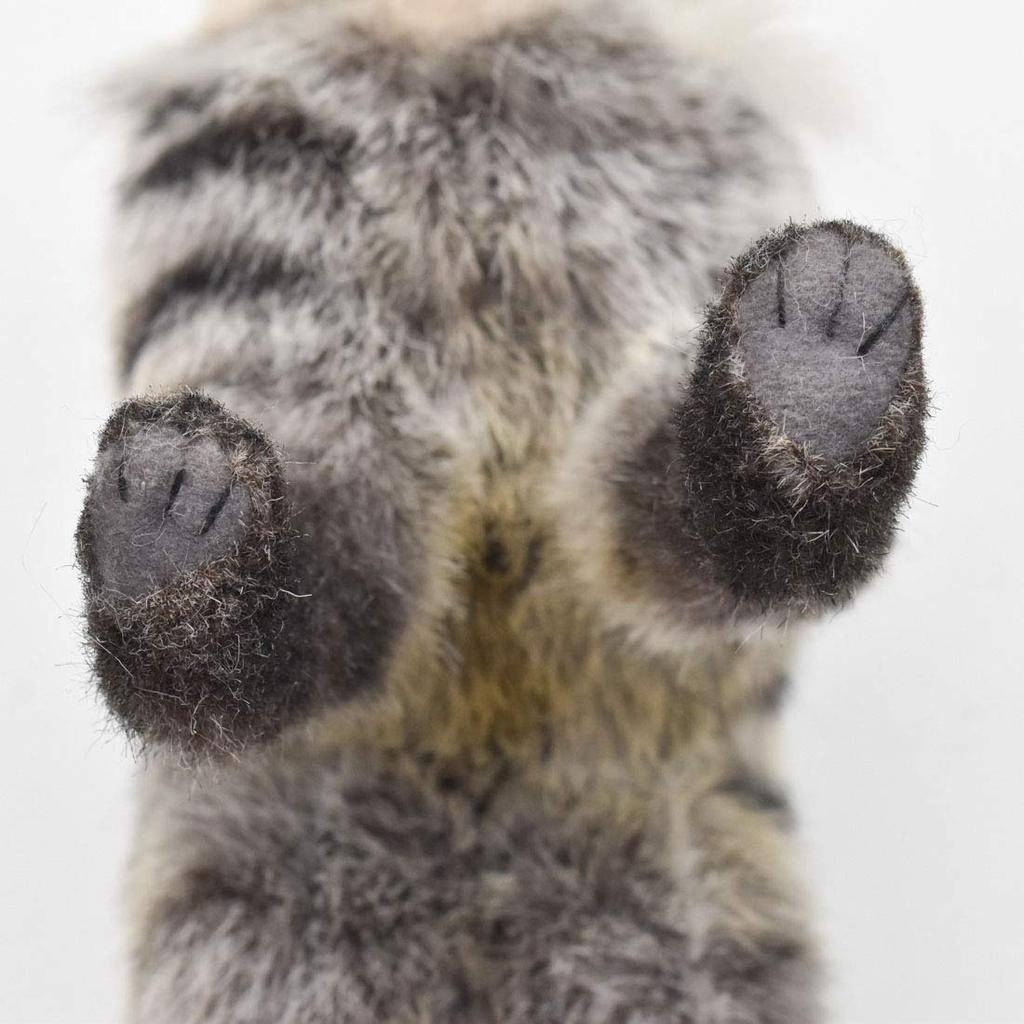 BH7840 HANSA Aardwolf Pup 28