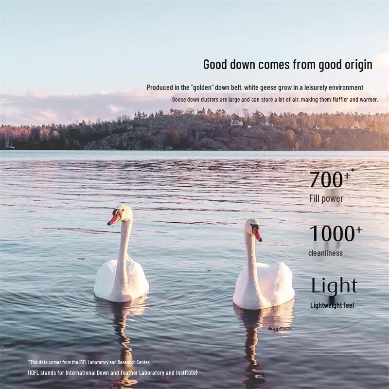 Mercury Home Textiles Antibacterial Goose Down Comforter