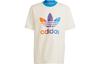 Originals Adicolor 70s T Shirt Men's Beige IP6967
