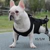 Ham de Ridicare pentru Animale de Companie Curea de Transport pentru Câini Suport Complet Curea de Ridicare Multifuncțională pentru Câini Transportor pentru Urcare și Coborâre Scări Plimbare Câini