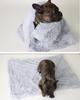 Double-Layer Plush Pet Blanket for Dogs & Cats - Warm, Comfortable Mat for All Sizes