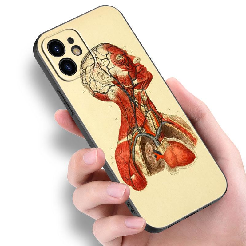 Medizinische Menschliche Organe Gehirn Meridian Niere Hohe Fall Für Apple iPhone 14 13 12 Mini 11 Pro Max 7 8 XR X XS 7 8 Plus SE 2020 2022
