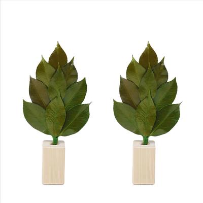 [A&K] Shinto Shrine Altar, Kiwami Sakaki S, Sakaki Stand Set, Tanba Camellia Leaves, Japanese Cypress, Preserved Sakaki, Never Withers, No