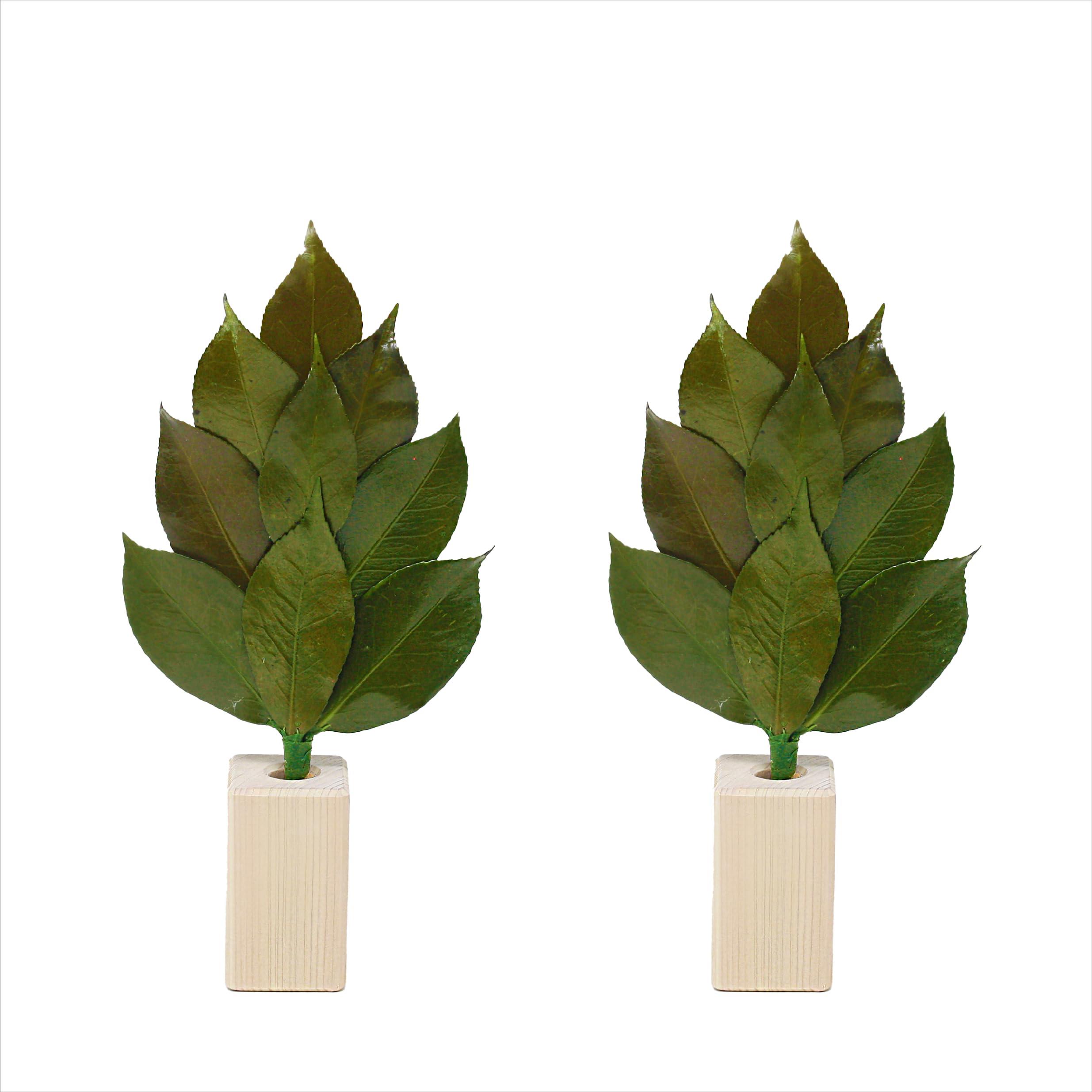 

[A&K] Shinto Shrine Altar, Kiwami Sakaki S, Sakaki Stand Set, Tanba Camellia Leaves, Japanese Cypress, Preserved Sakaki, Never Withers, No