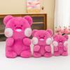 Plush Dudu Bear Toy Cartoon Doll Rose Red Sleeping Companion Girls Birthday Gift