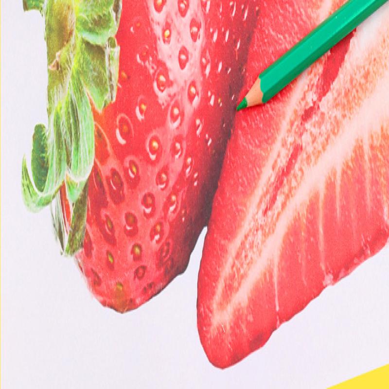 Water-Soluble Colored Lead, Erasable Colored Pencil, Art Student Professional Oil Pencil, Brush Set, Painting Stationery