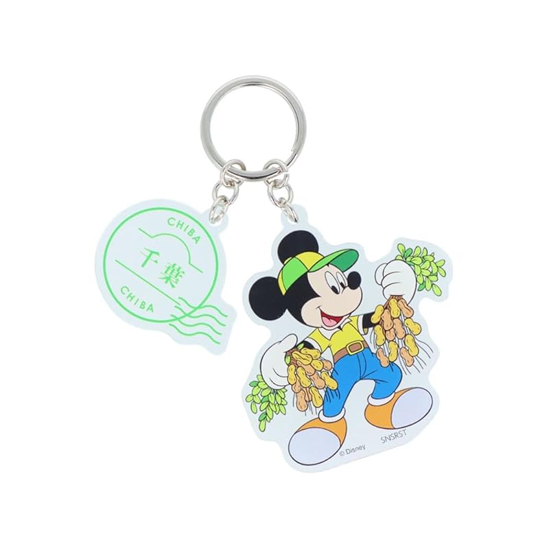 

[Sunstar Stationery] disney key ring acrylic DREAM TRAVEL mickey mouse Chiba prefecture S8348464