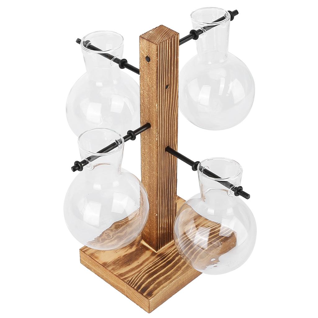 Innovative Hydroponic Vase with Wooden Stand Transparent Desktop Flower Vase for Home