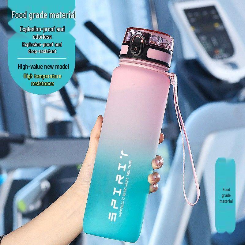 Gradient Frosted Summer Sports Water Bottle – Large Capacity, High-Temperature Resistant, Drop-Proof, with Tea Infuser.