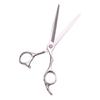 Professional Hairdressing Scissors 5.5" 6" Japan Stainless Shop Hair Cutting Scissors Salon Thinning Shears