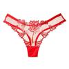 Transparent Embroidered Sexy Panties Women's Underwear Transparent Panties