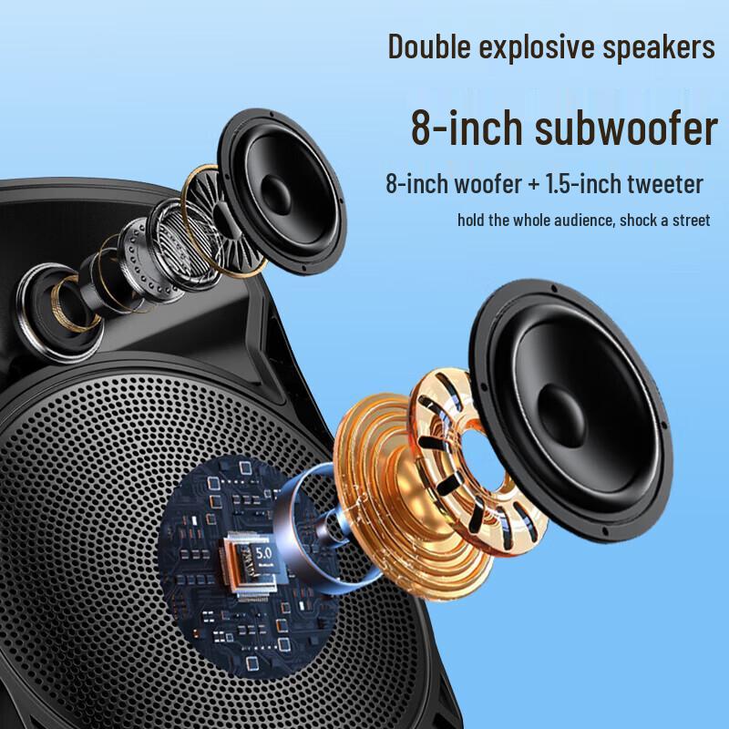 Soaiy Portable Outdoor Bluetooth Karaoke Trolley Speaker CN plug (adapter included) (CN version)