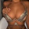 Sexy Luxury Rhinestone Body Chain Chest Chain Jewelry, Fashion Bikini Claw Chain Bra Nightclub Clothing