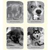 Set of 3 Entertaining Squeaky Dog Toy Bone for Boredom Dog Entertainment Chew Toy for Aggressive Chewer Clean Teeth