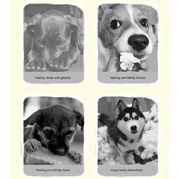 Set of 3 Entertaining Squeaky Dog Toy Bone for Boredom Dog Entertainment Chew Toy for Aggressive Chewer Clean Teeth