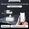 WiFi Smart Electric Ball Valve with Remote Control Timer for Automatic Irrigation