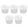 5PCS Portable Sauce Bottle Salad Dressing Container Reusable Plastic Small Condiment Cups Set with Lids and Storage Bag